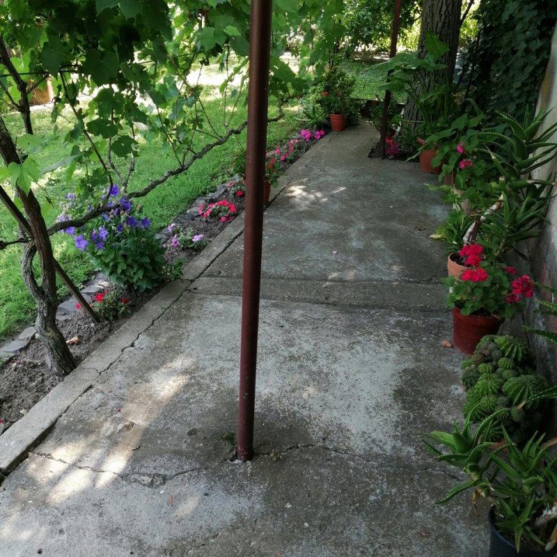 Réz Józsefné kertje 04